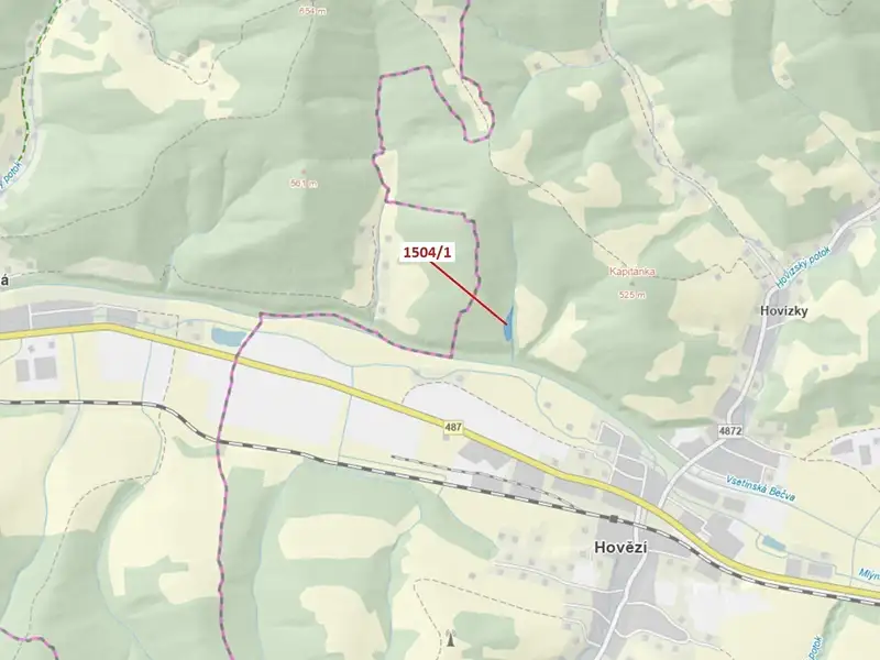 Dražba lesa 2626 m², Hovězí – náhled fotky 1