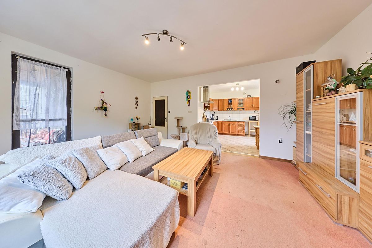 Prodej rodinného domu 268 m², pozemek 2868 m² – fotografie 2
