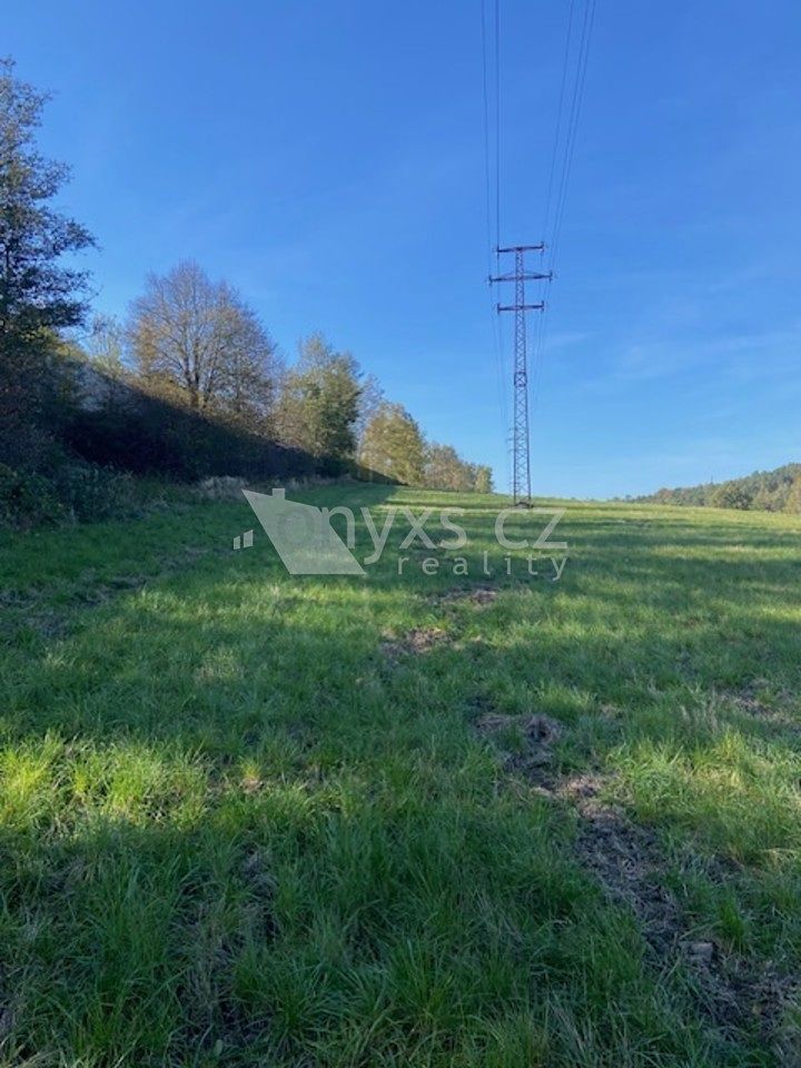 Prodej pozemku 8076 m² – fotografie 3