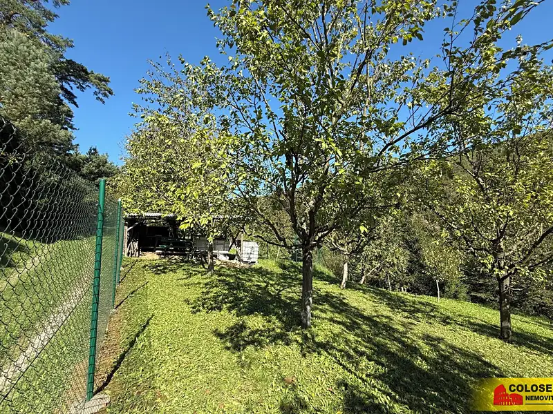 Prodej sadu, vinice 1758 m², Žarošice – náhled fotky 3