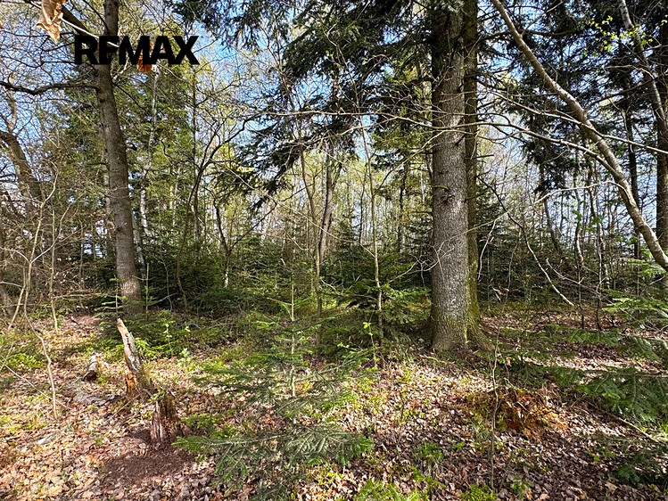 Ділянка на продаж, 25 088 м² (17 з 21)