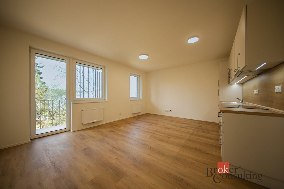 Pronájem bytu 1+kk 38 m² – fotografie 2