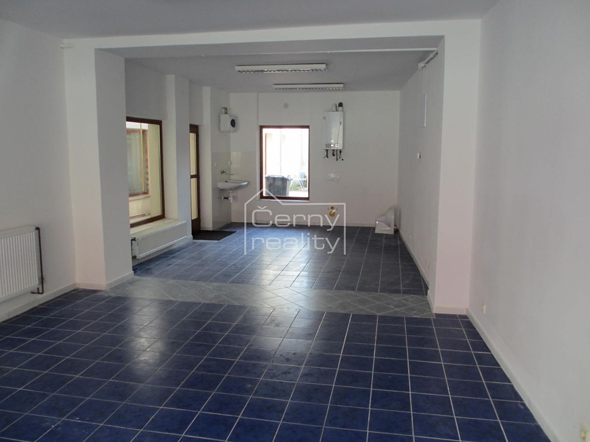 Pronájem obchodního prostoru 45 m²