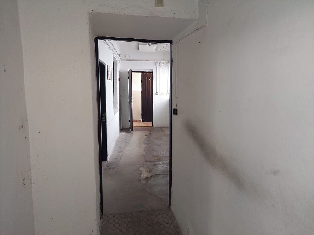 Prodej rodinného domu 330 m², pozemek 350 m² – fotografie 4