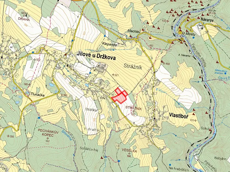 Prodej louky 7808 m², Jílové u Držkova – náhled fotky 2