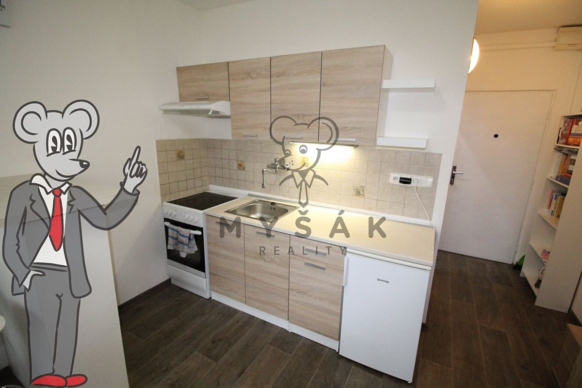 Pronájem bytu 1+kk 21 m²