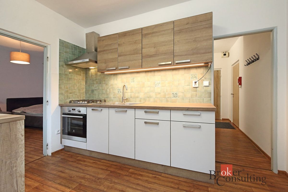Pronájem bytu 1+1 42 m² – fotografie 4