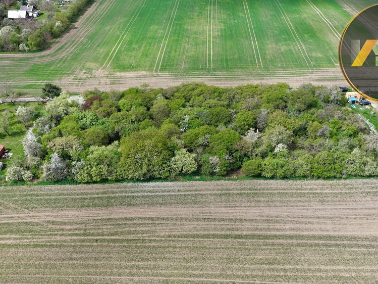 Grundstück zum Kauf, 4.447 m² (3 von 5)