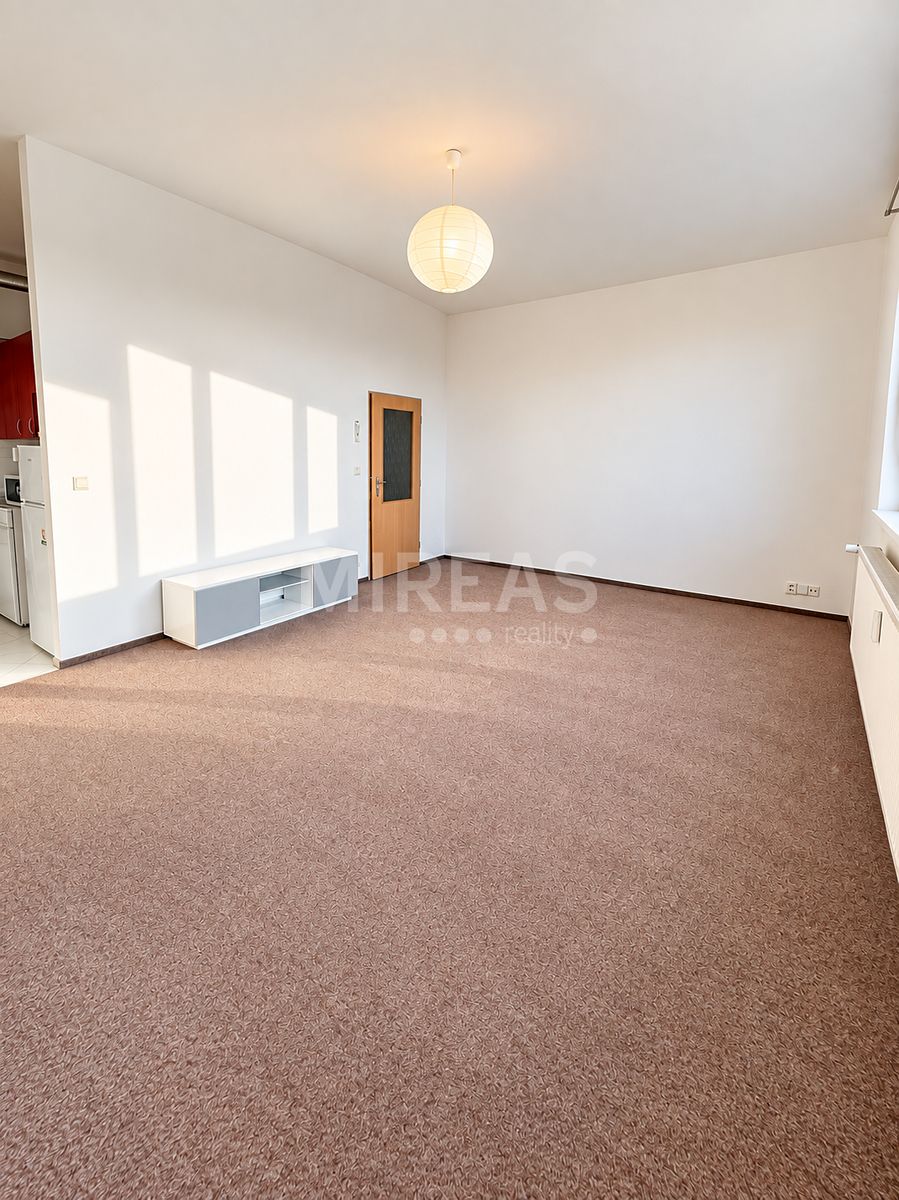 Pronájem bytu 1+kk 35 m² – fotografie 3