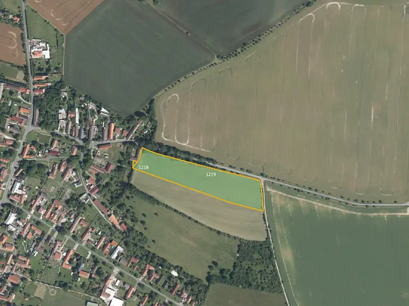 Prodej louky 8638 m², Velenice – náhled fotky 1