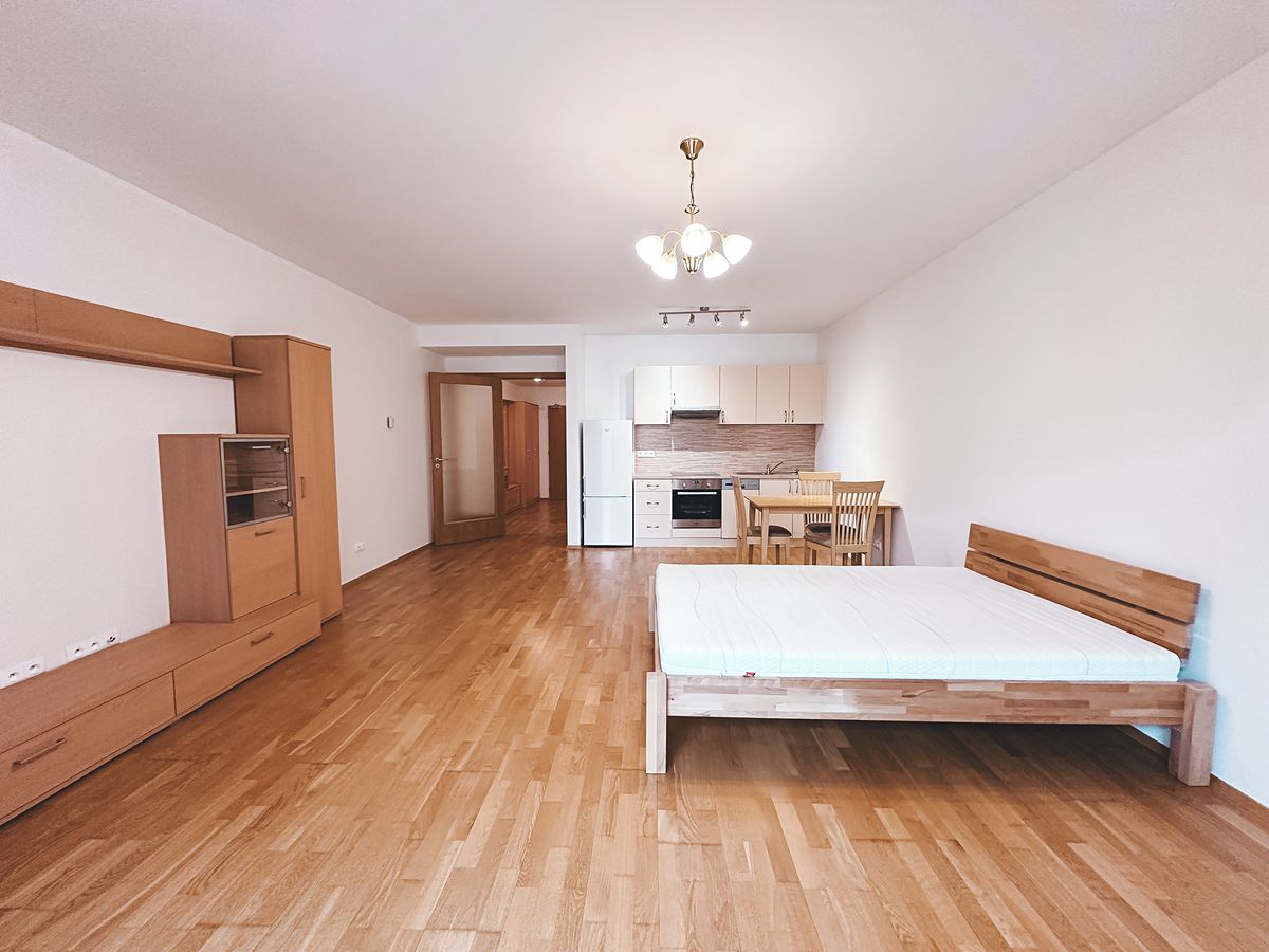 Pronájem bytu 1+kk 53 m² – fotografie 2