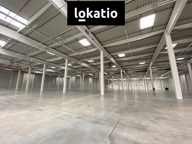 Комерційне приміщення в оренду, 4 323 м² (6 з 12)
