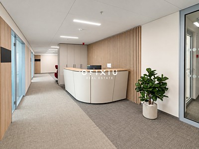 Комерційне приміщення в оренду, 300 м² (3 з 18)