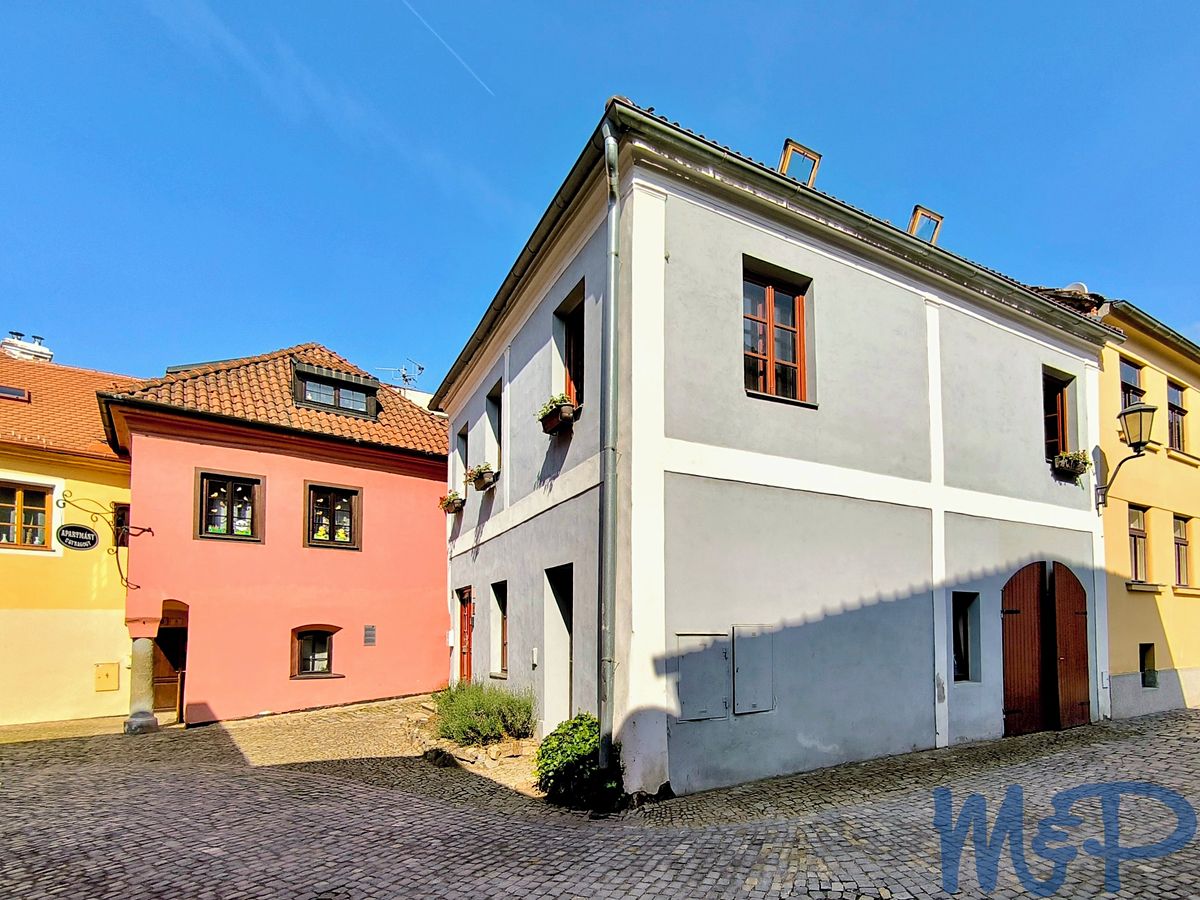 Prodej bytu atypický 251 m²