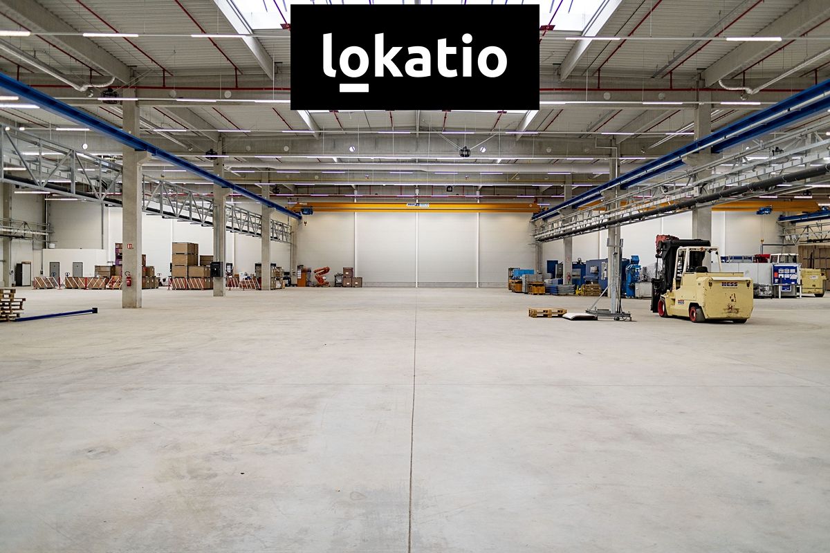 Pronájem skladového prostoru 5000 m² – fotografie 4