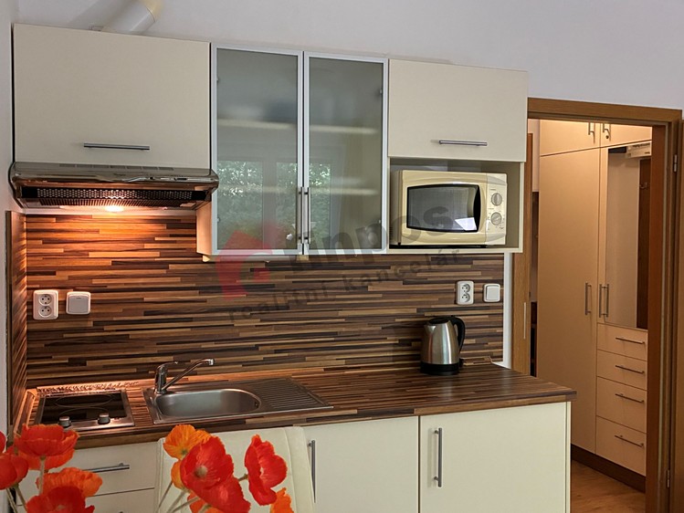 Wohnung 1+kk zum Kauf, 25 m² (11 von 29)