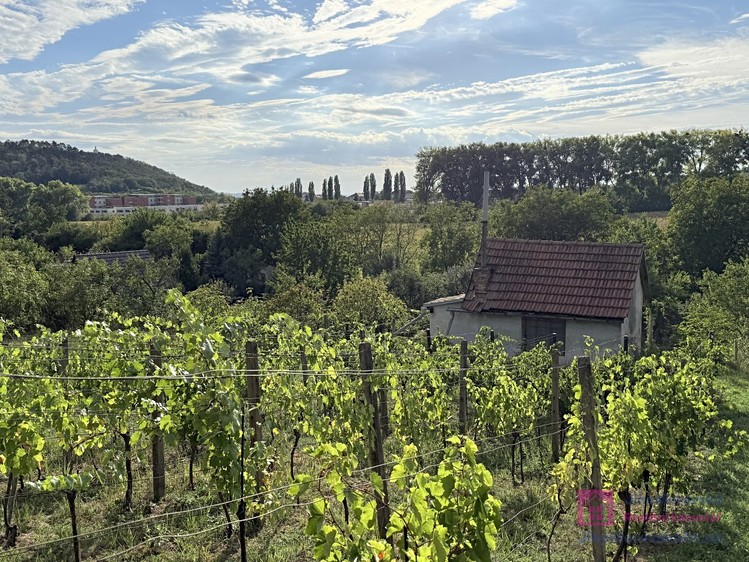Ostatní