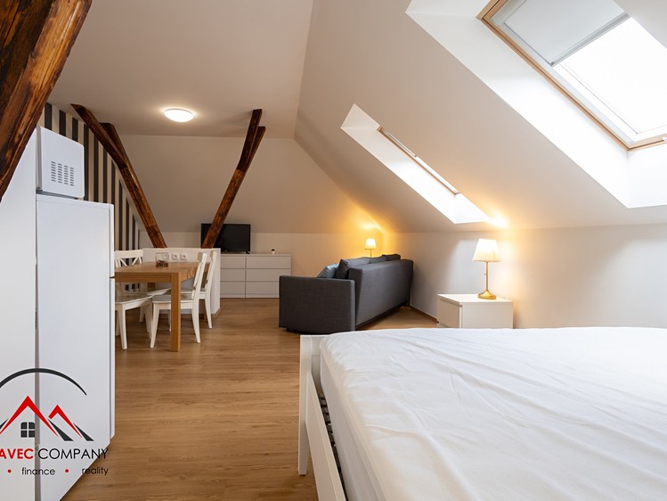 Pronájem bytu 1+kk, 38 m² (5 z 15)