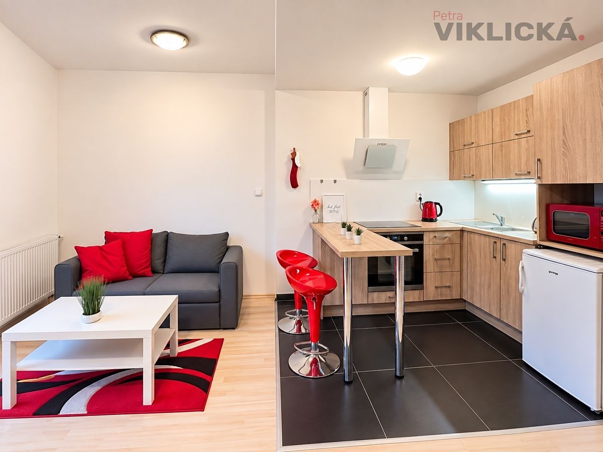 Pronájem bytu 1+kk 33 m² – fotografie 5