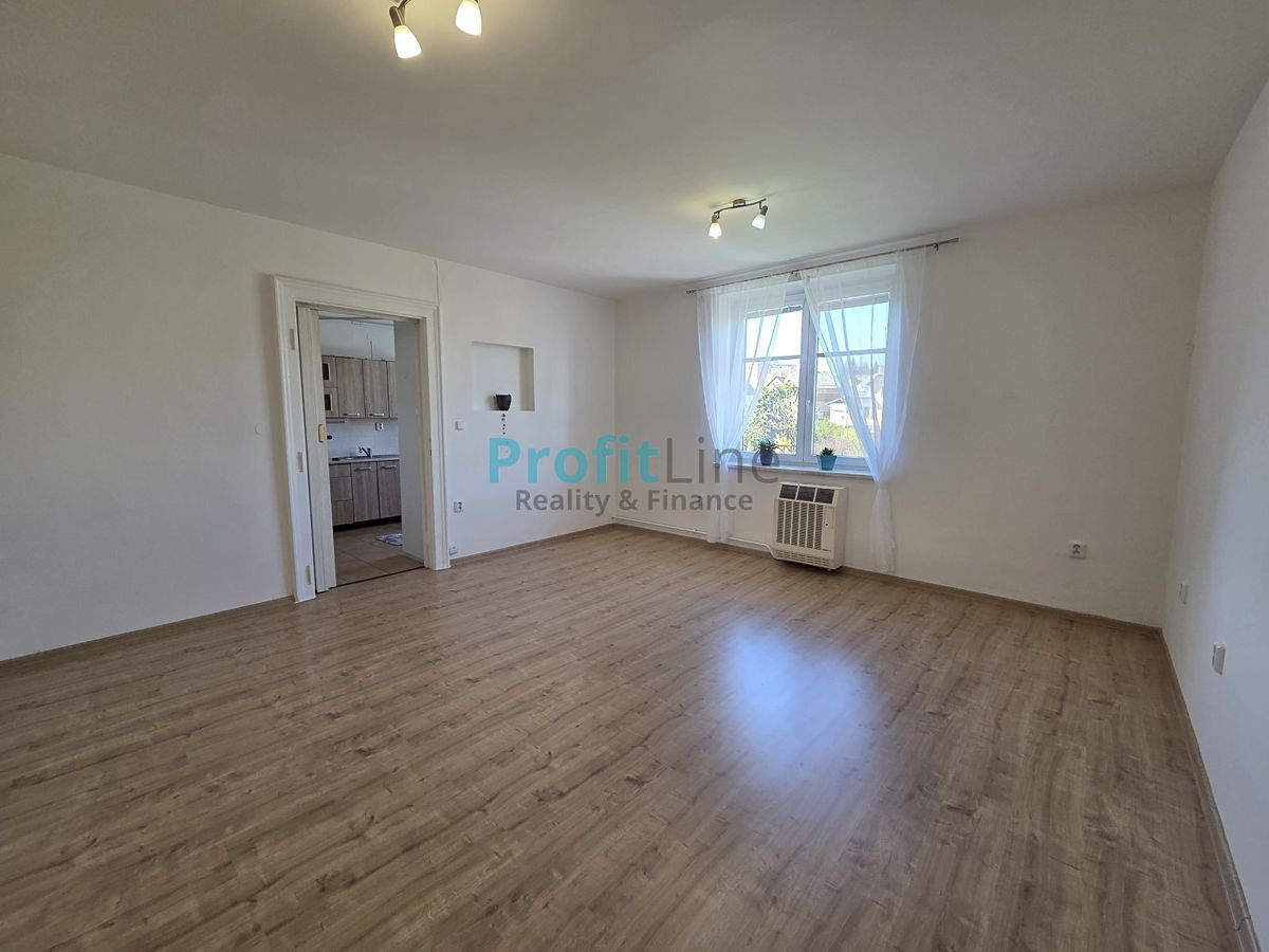 Pronájem bytu 1+1 40 m²