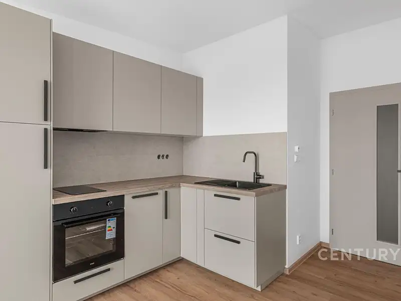 Pronájem bytu 1+kk 29 m², Milovice – náhled fotky 1