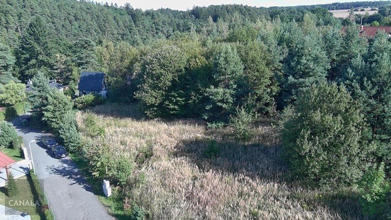Prodej rodinného domu 131 m², pozemek 1000 m² – fotografie 2