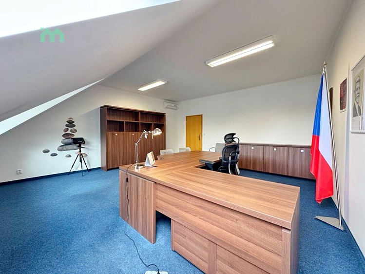 Pronájem komerčního prostoru, 100 m² (21 z 23)
