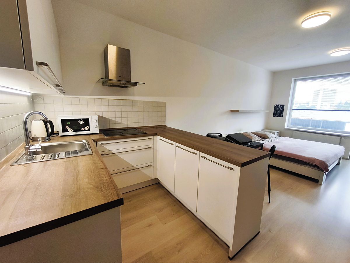 Pronájem bytu 1+kk 45 m²