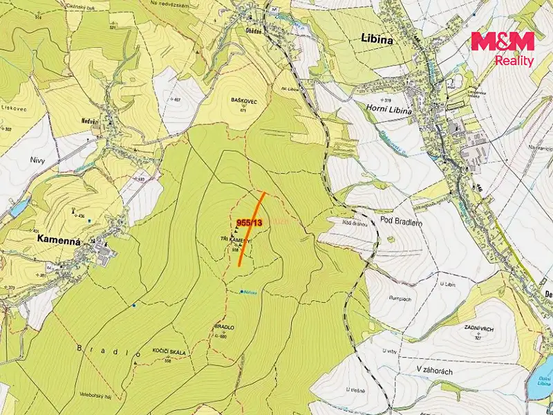 Prodej lesa 5695 m², Nová Hradečná – náhled fotky 3