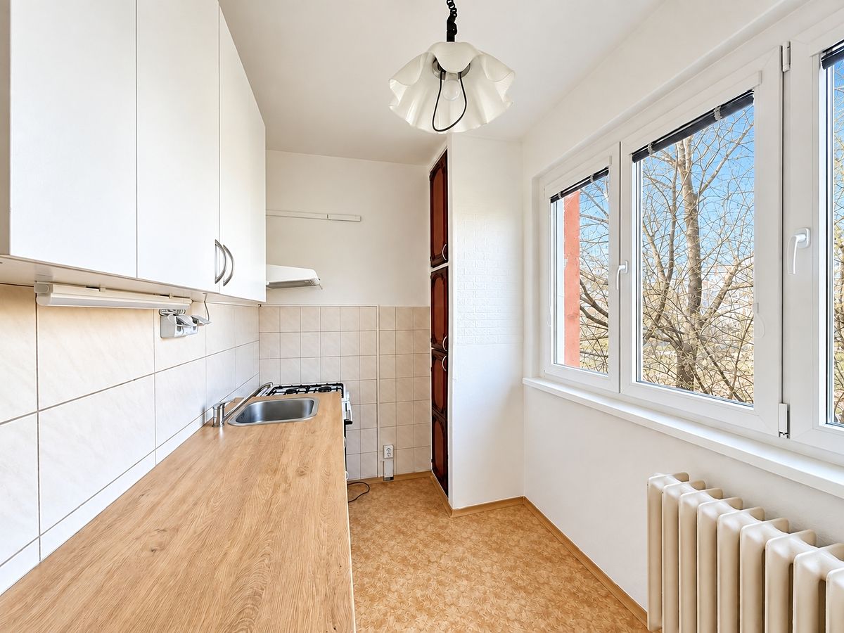 Pronájem bytu 3+1 68 m²
