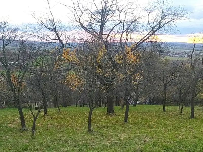 Prodej zahrady 3492 m², Přílepy – náhled fotky 3