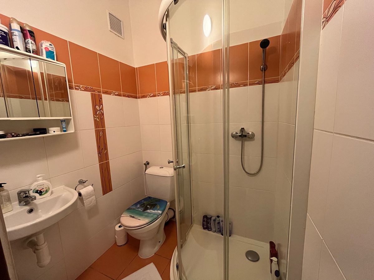 Pronájem bytu 1+1 35 m² – fotografie 4