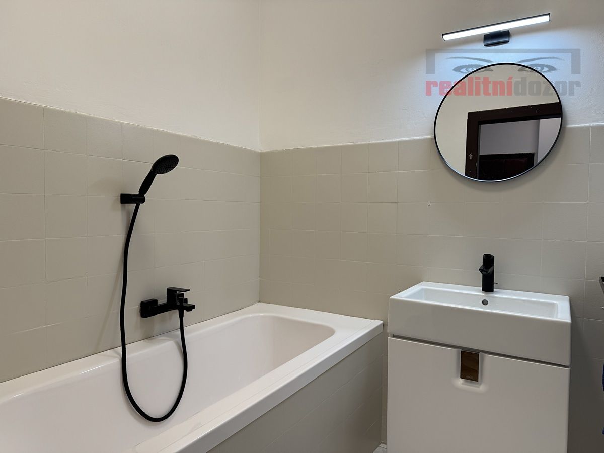 Pronájem bytu 1+1 49 m² – fotografie 5
