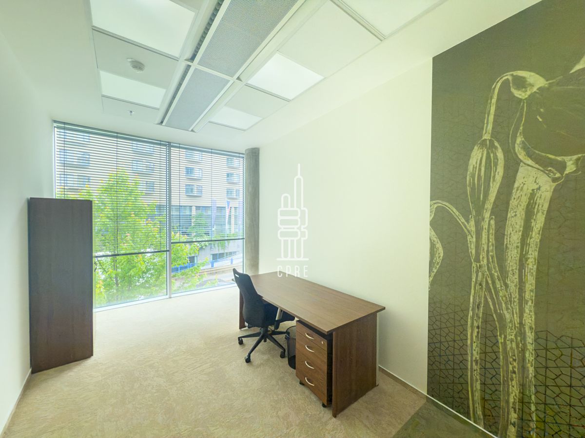 Pronájem kanceláře 454 m² – fotografie 5