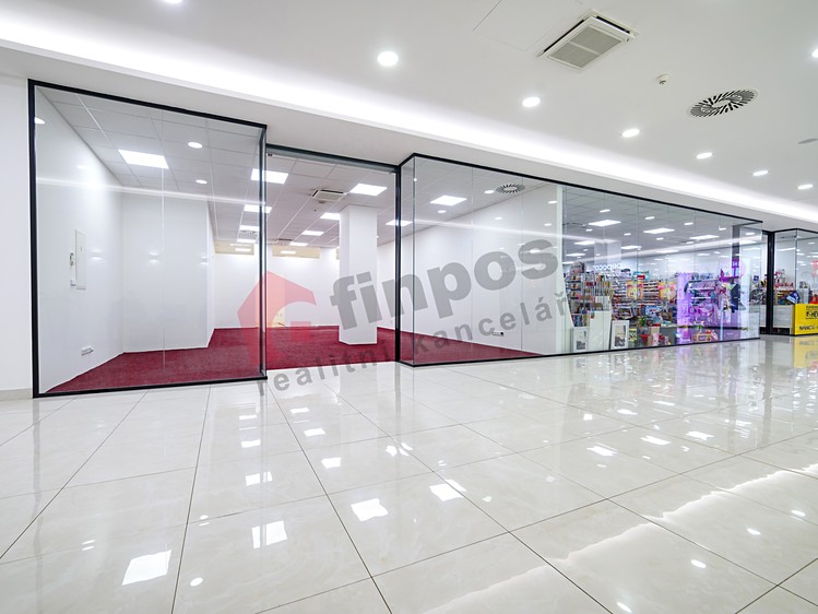 Pronájem komerčního prostoru, 77 m² (2 z 17)