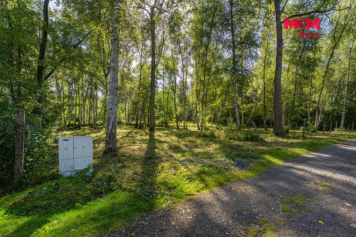 Prodej stavebního pozemku 3825 m² – fotografie 3