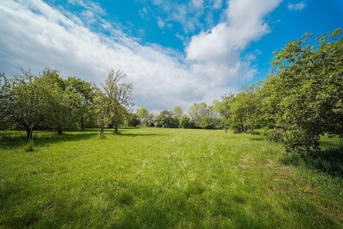 Prodej stavebního pozemku 5013 m² – fotografie 3
