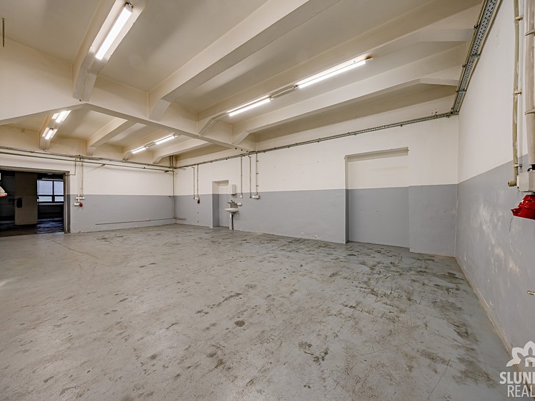 Pronájem komerčního prostoru, 348 m² (8 z 10)