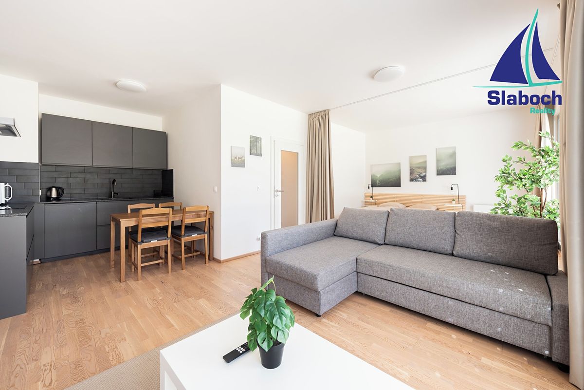 Pronájem bytu 1+kk 45 m²