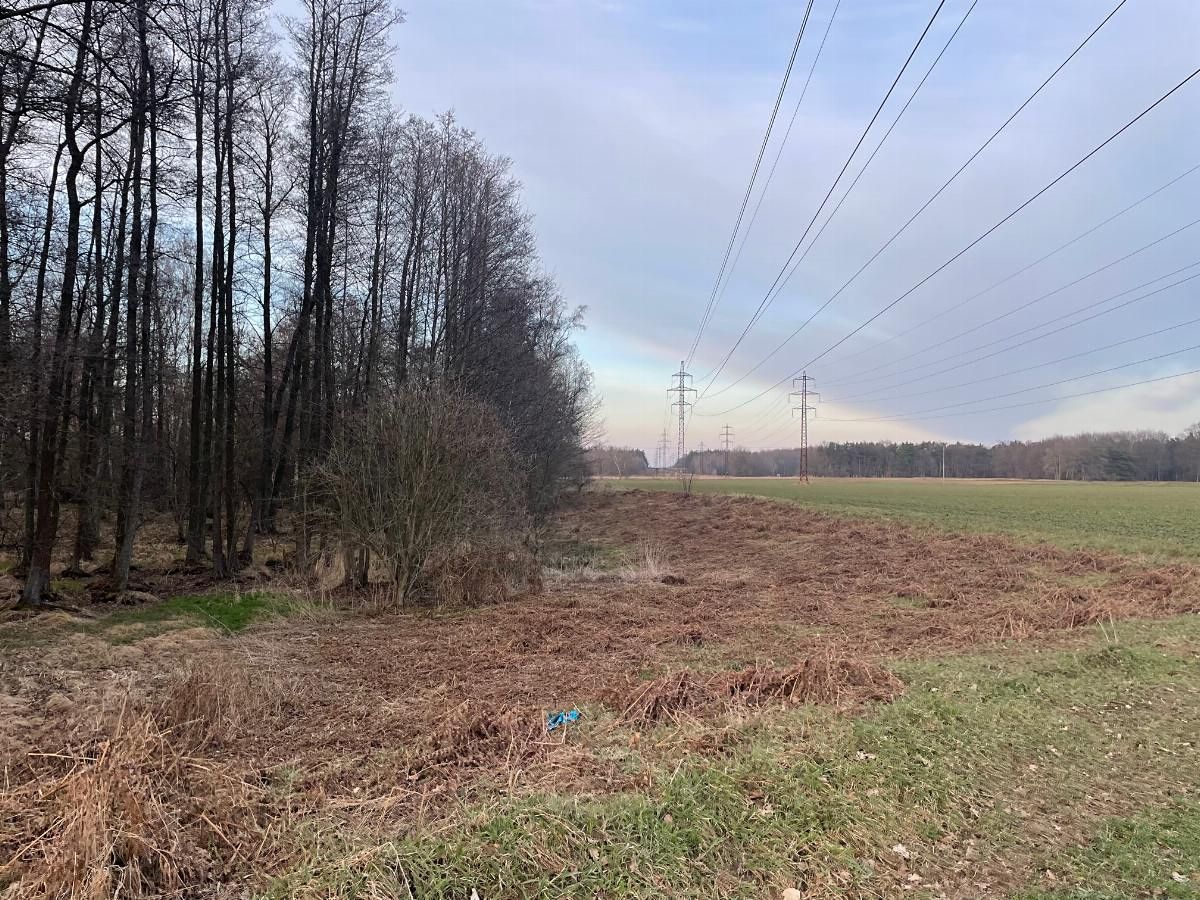 Prodej pozemku 3460 m² – fotografie 2
