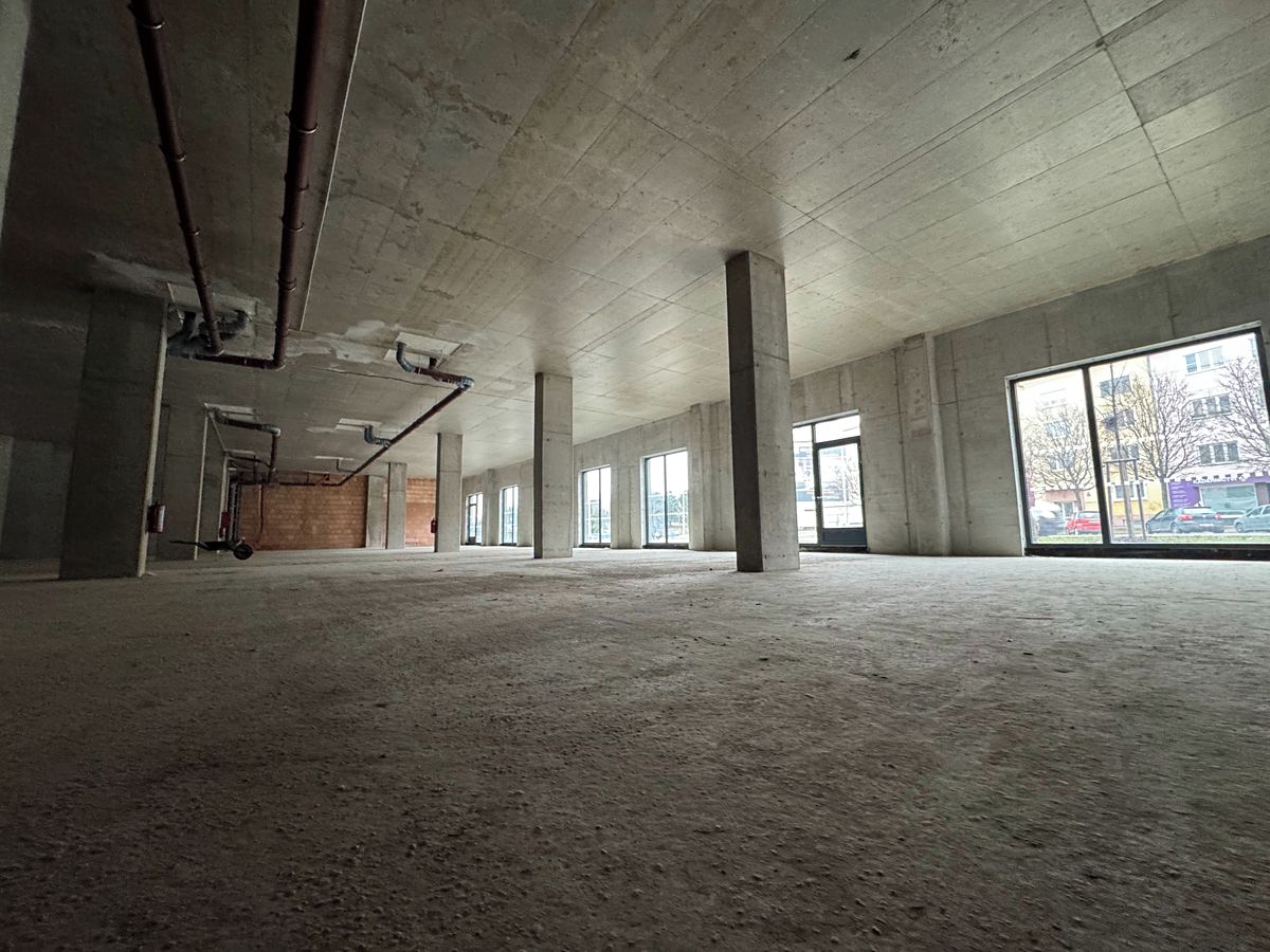 Prodej obchodního prostoru 235 m² – fotografie 3