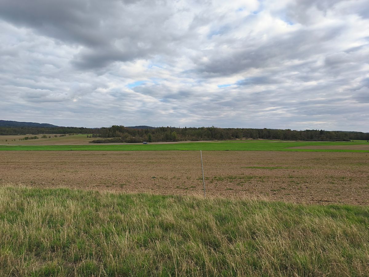 Prodej louky 3629 m² – fotografie 5