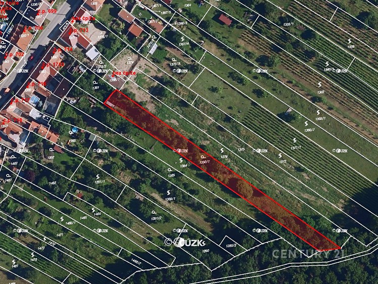 Ostatní