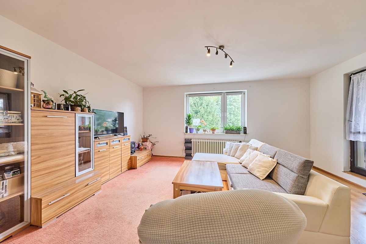 Prodej rodinného domu 268 m², pozemek 2868 m² – fotografie 5