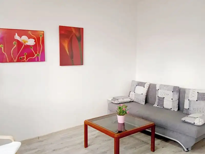 Pronájem bytu 1+kk 27 m², Olešnice v Orlických horách – náhled fotky 3