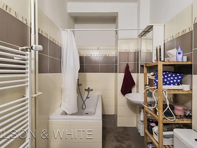 Pronájem bytu 2+1 49 m², Praha – náhled fotky 3