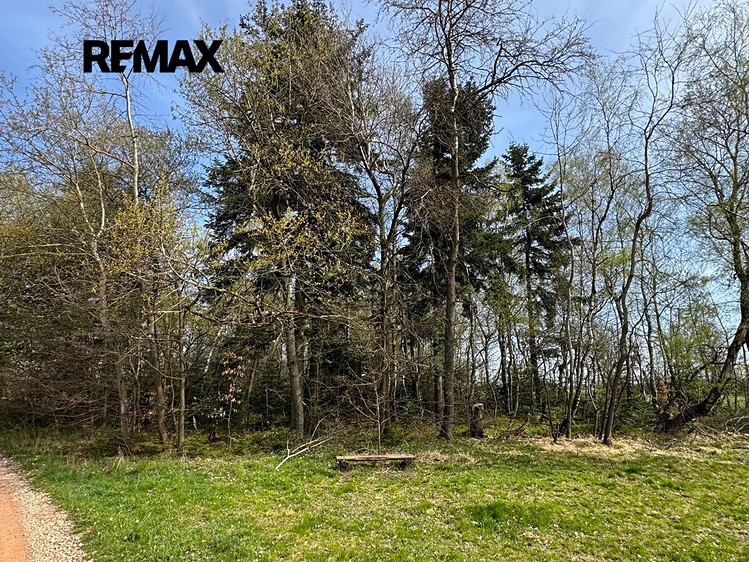 Ділянка на продаж, 25 088 м² (16 з 21)