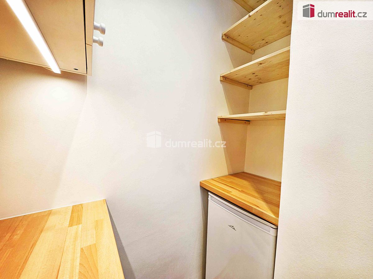 Pronájem bytu 1+kk 21 m² – fotografie 4