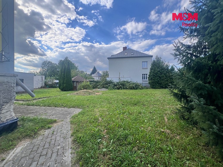 Комерційне приміщення на продаж, 447 м² (4 з 19)