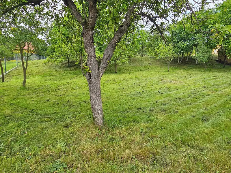 Prodej stavebního pozemku 1337 m², Žihobce – náhled fotky 3